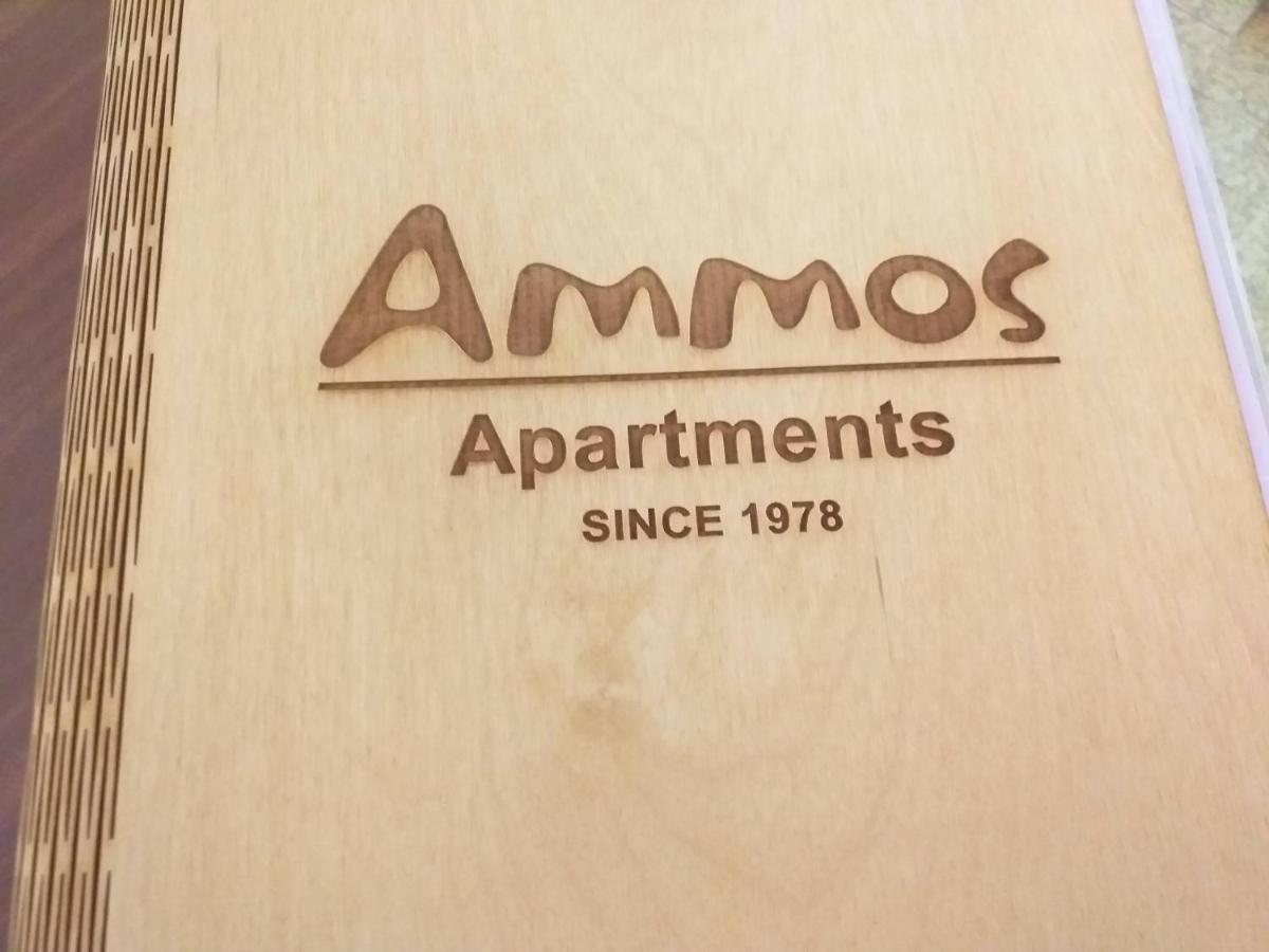 Ammos Apartments Agios Nikolaos Exterior foto